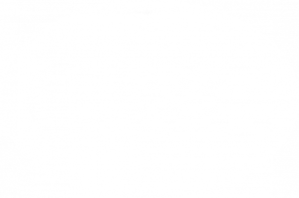 CWC_Group_Logo white